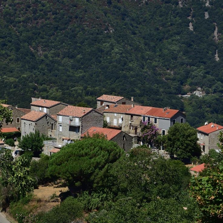 Outdoor terrace seating suitable for families in Amsterdam